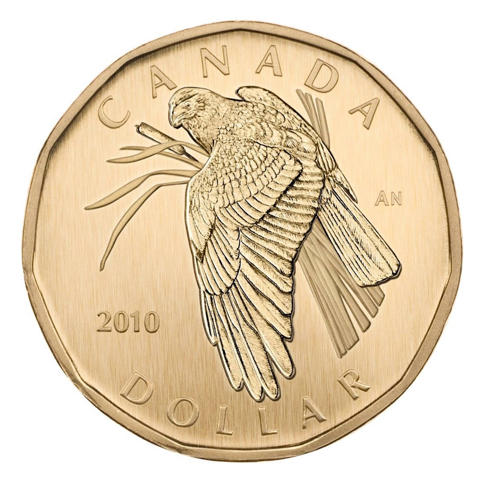 Uncirculated $1 Details about   RCM Snowy Owl Specimen 2006 